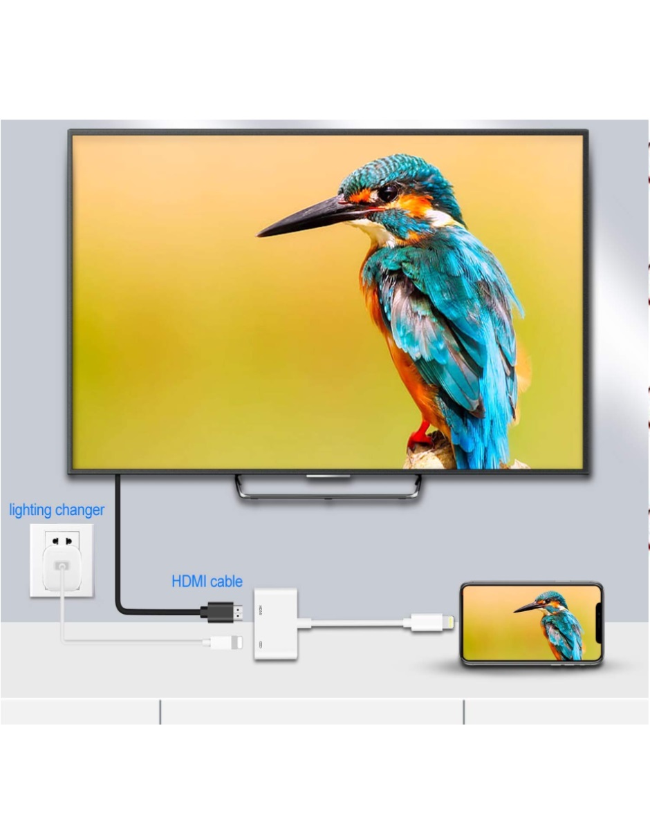 Adaptador Audio Vídeo Hd iPhone iPad Tv Hdtv 1080p 8pines