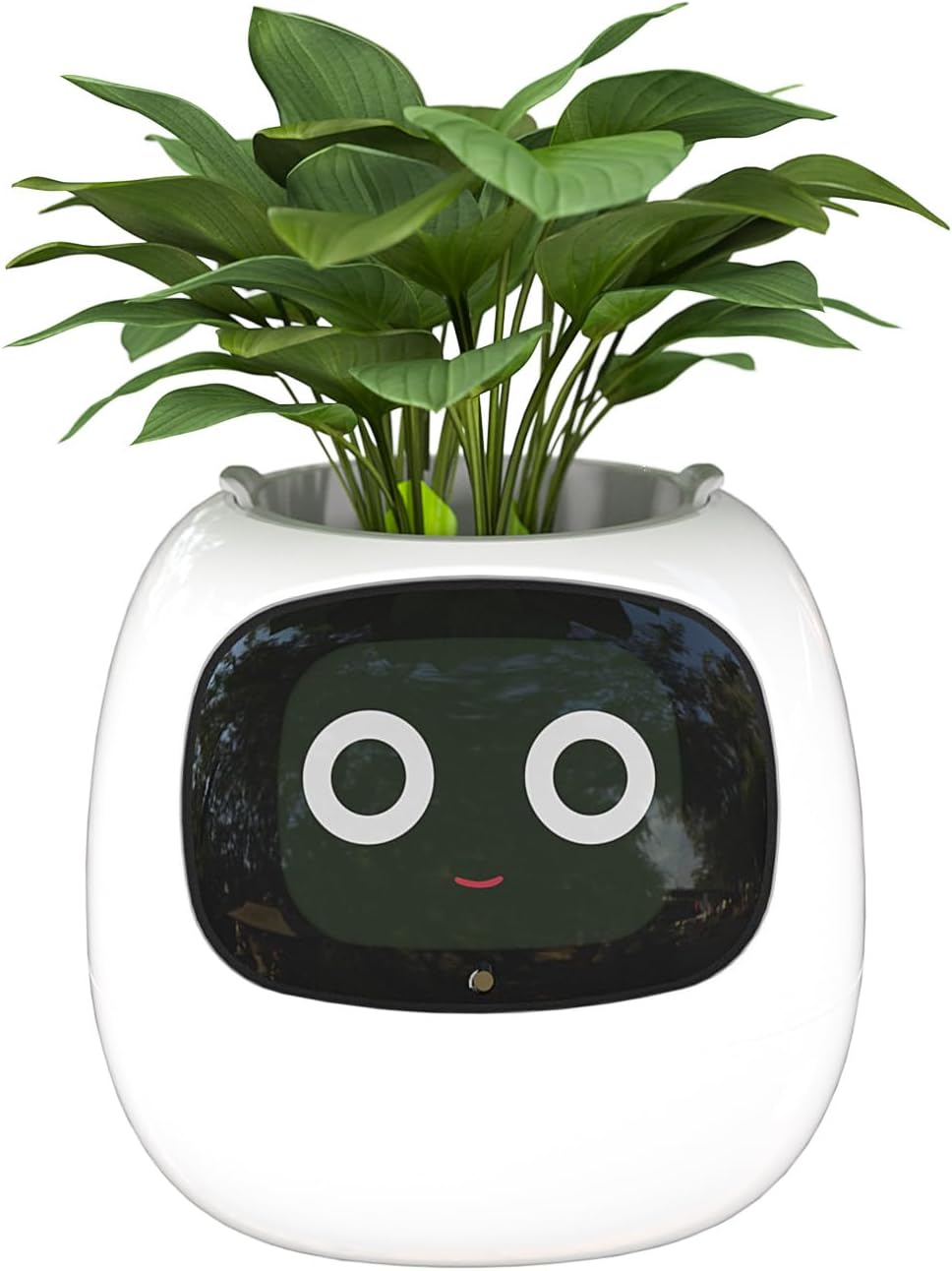 Maceta Robot Con Inteligencia Artificial Plant Ivy Blanco