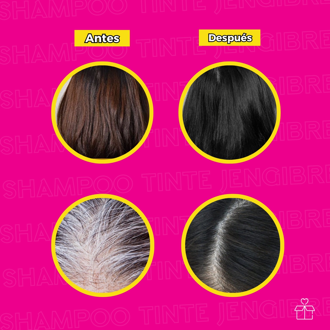 10 Shampoo Tinte Instantaneo de Jengibre Tono Negro.