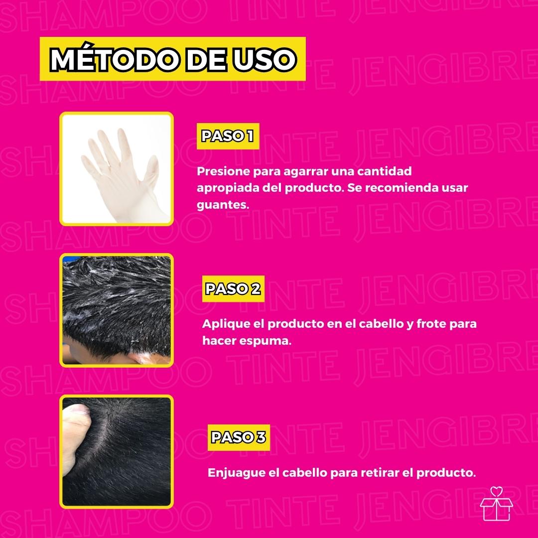 10 Shampoo Tinte Instantaneo de Jengibre Tono Negro.