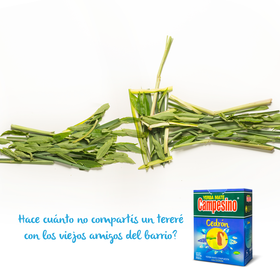 Yerba Mate Campesino Cedrón 500 g.