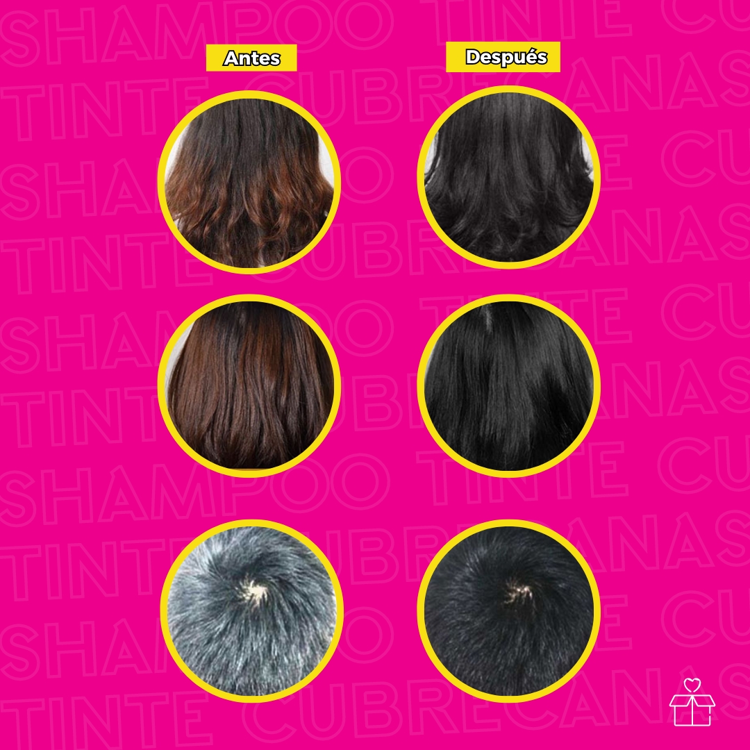 Shampoo Tinte Instantáneo 15 Minutos Cubre Canas Jengibre Chocolate.