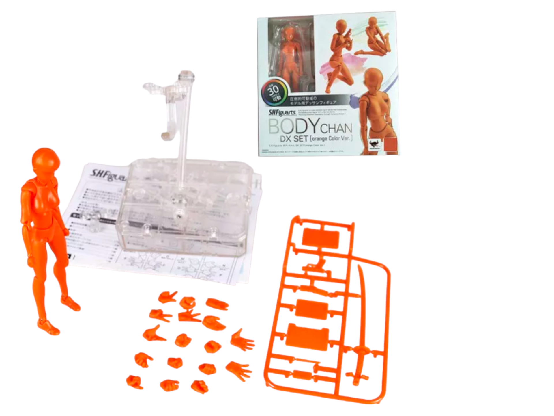 Body Chan Orange Naranja Female Mujer Maniqui Figura Dibujar