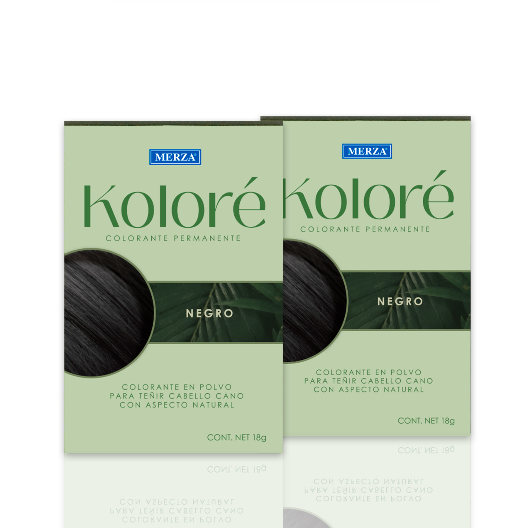 Pack 2 Kolore Castaño Oscuro + Shampoo de Regalo 