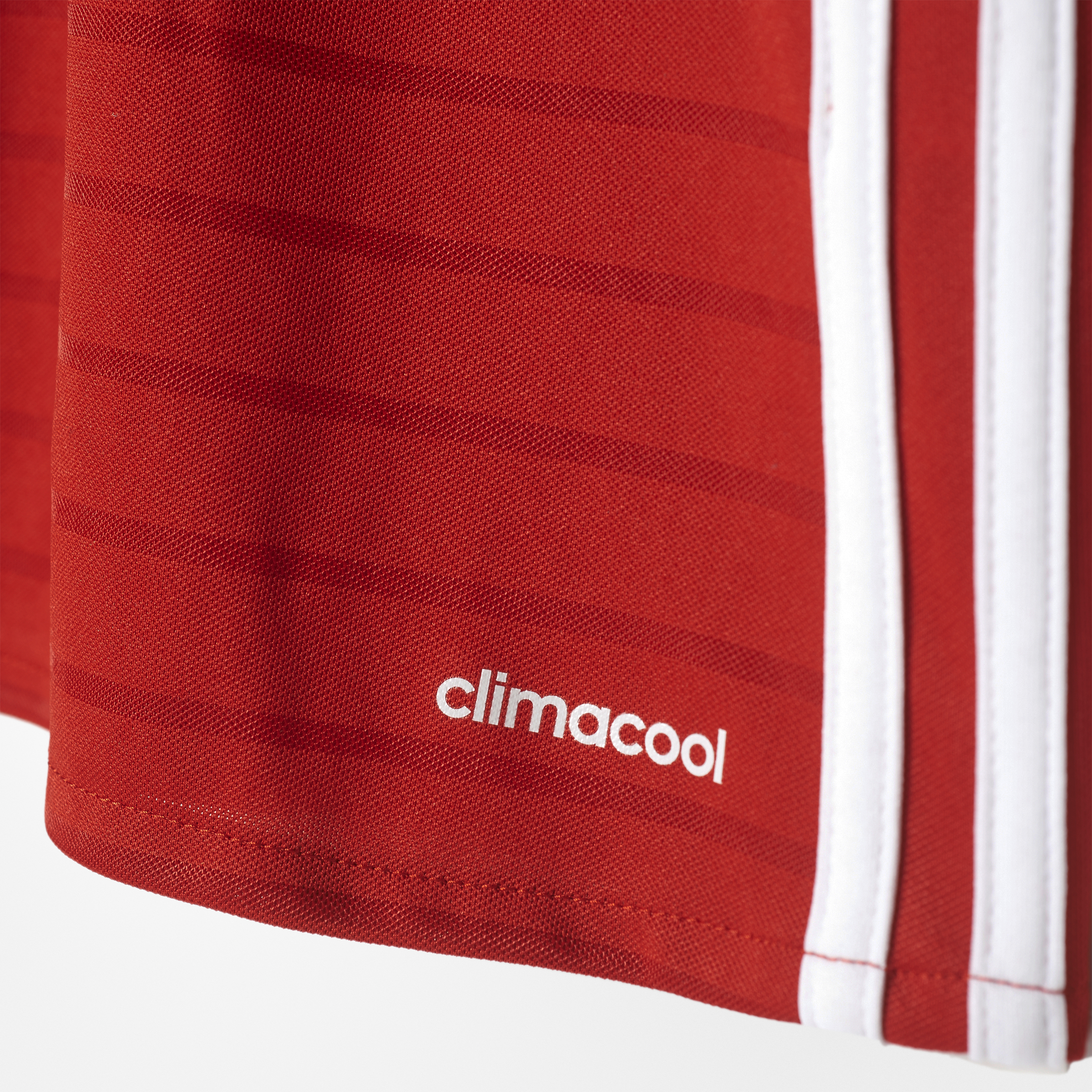 adidas FC Bayern Munich Jr Local 2016 Jersey Infantil Mediana