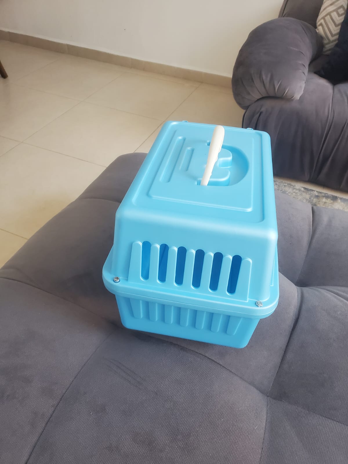 Caja Transportadora Para Mascotas, Perro Pequeño O Gato