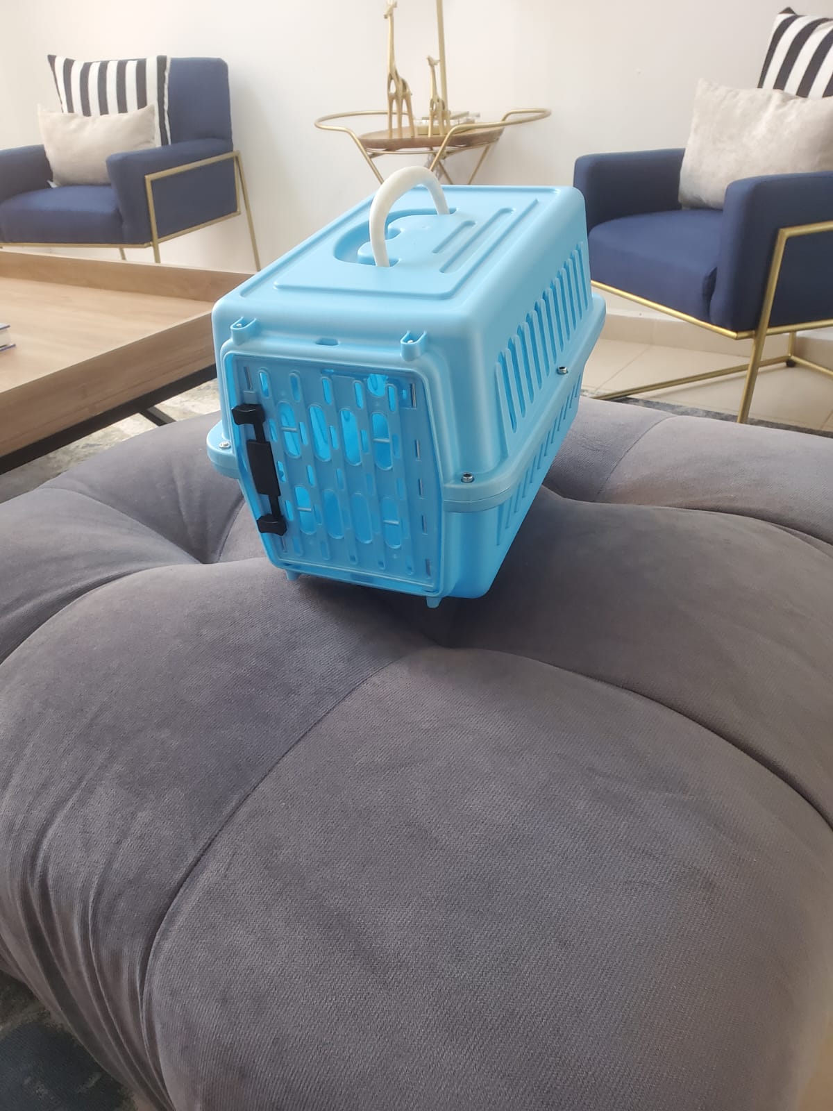 Caja Transportadora Para Mascotas, Perro Pequeño O Gato