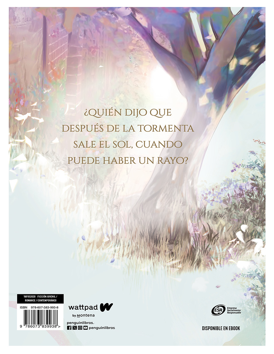Libro Boulevard Edición Ilustrada Autor Flor M. Salvador 