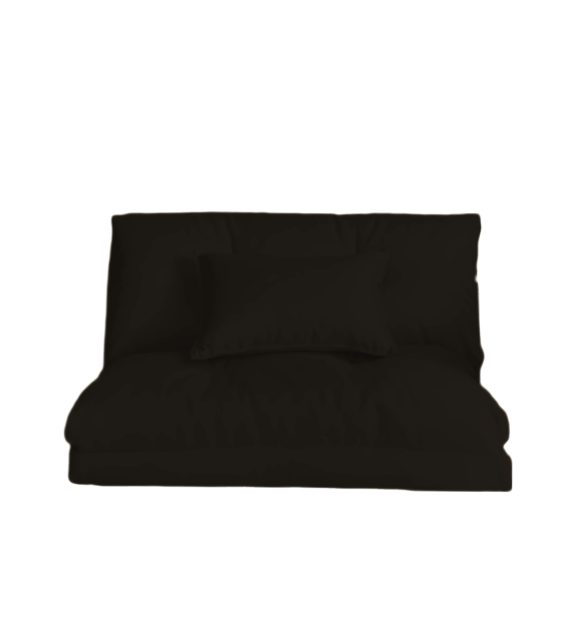 Sofá plegable para sala de estar, colchoneta tatami de lujo