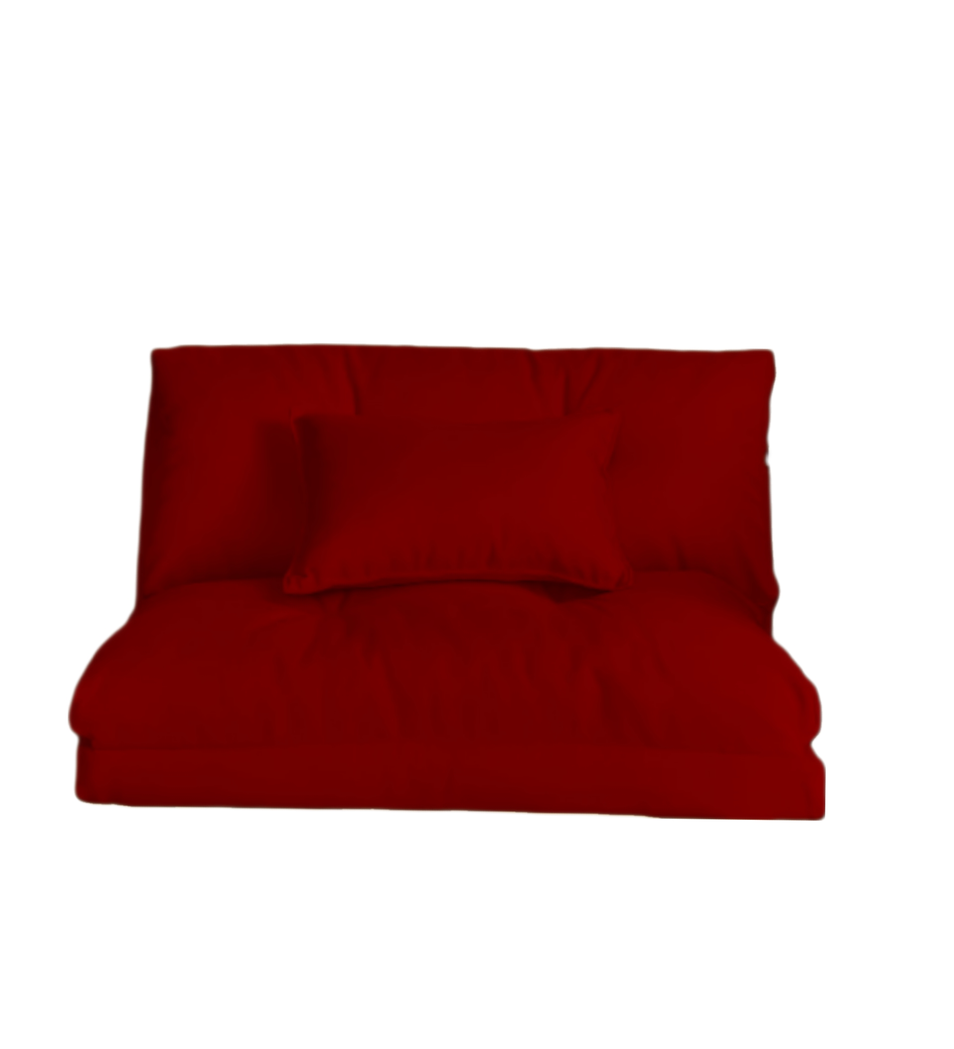 Sofá plegable para sala de estar, colchoneta tatami de lujo