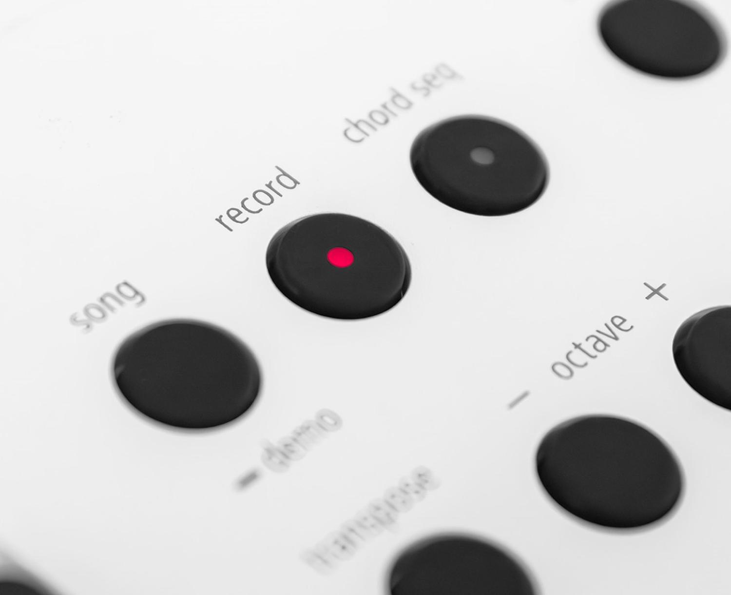 Roland Go: Keys5 Teclado Musical 61 Teclas Sensible White