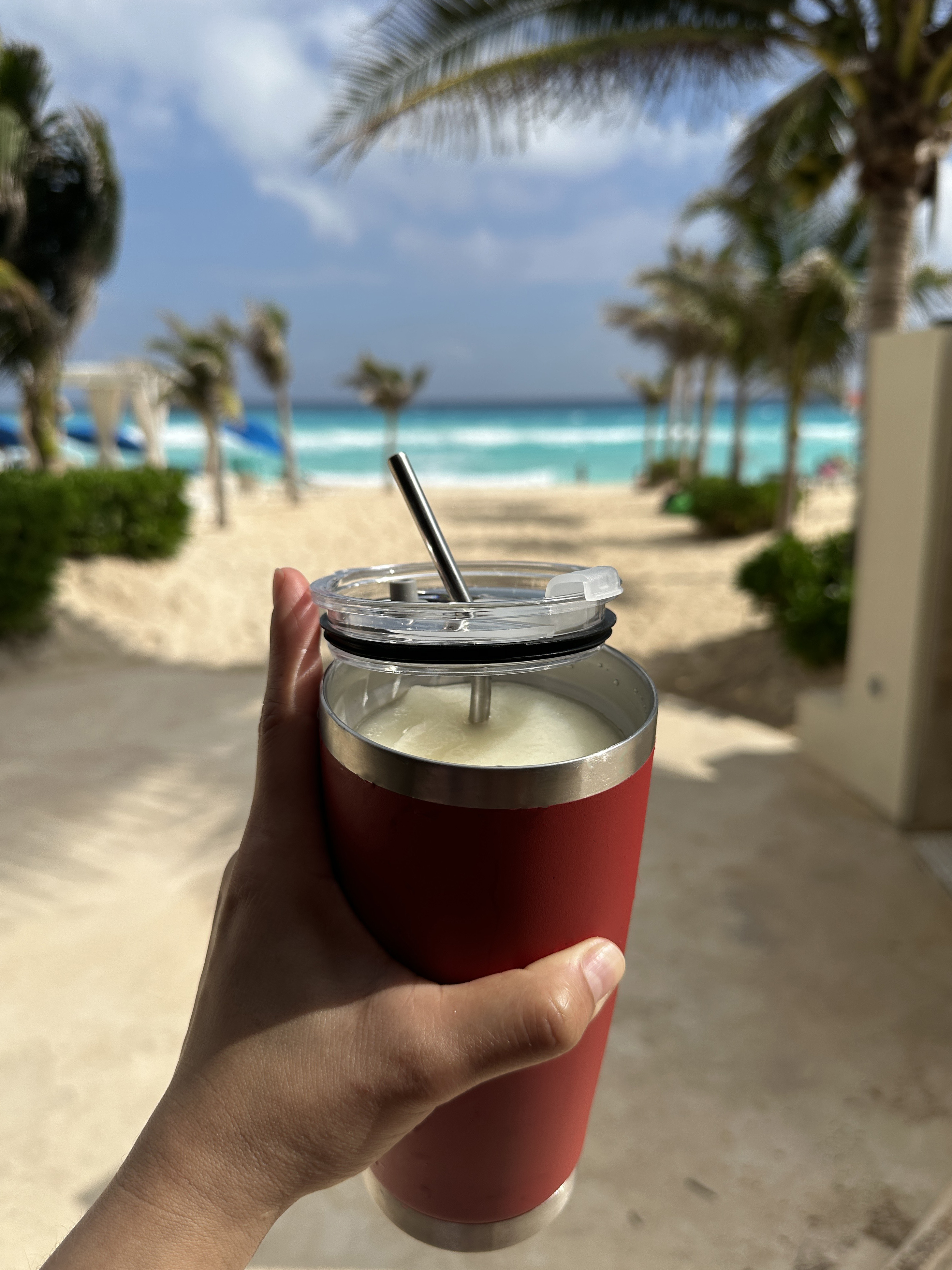 Vaso Térmico con 2 Popotes en Acero Inoxidable, Vaso para Bebidas Frías o Calientes y Tapa con Soporte para Popote