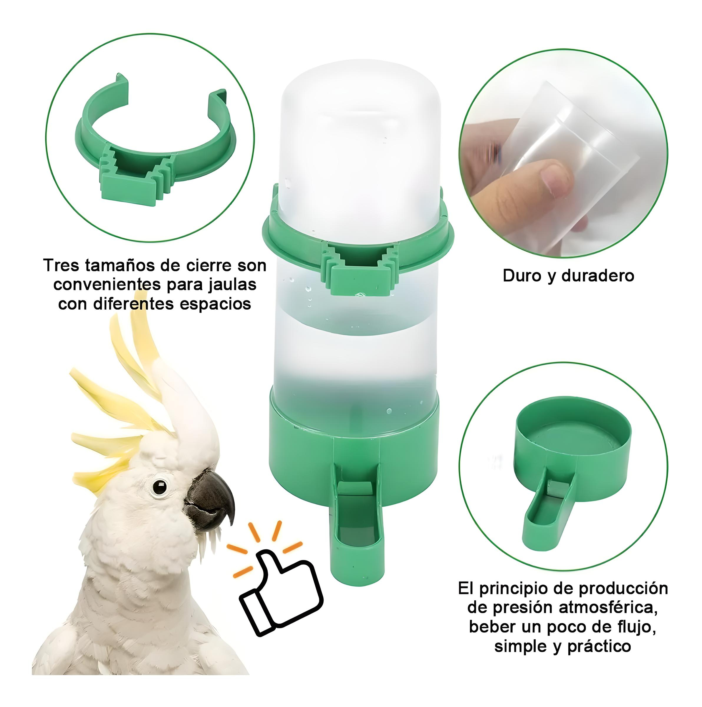 Bebederos Separadores Para Pájaros Dispensador Agua 10pzs