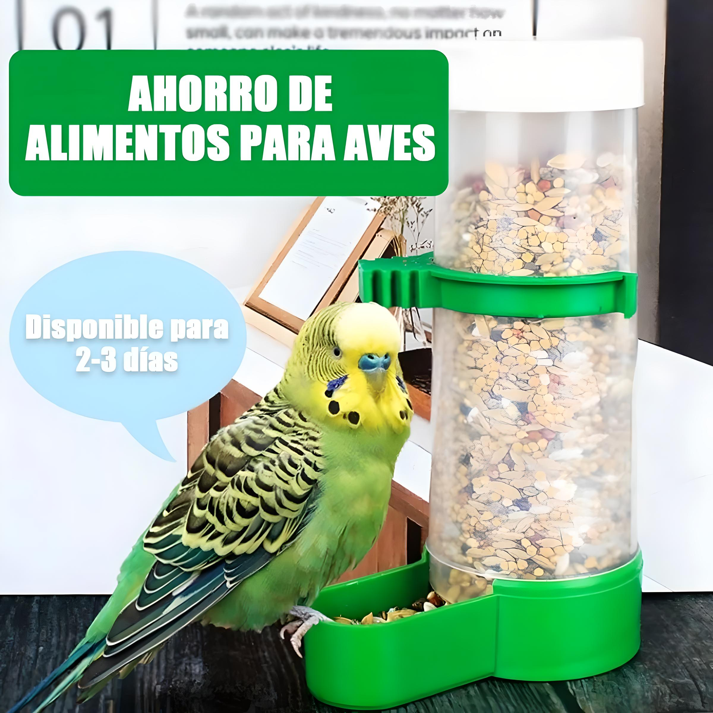 Bebederos Separadores Para Pájaros Dispensador Agua 10pzs