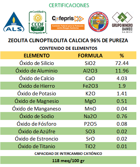 Zeolita micronizada 400 gramos activada 96% de pureza para consumo humano