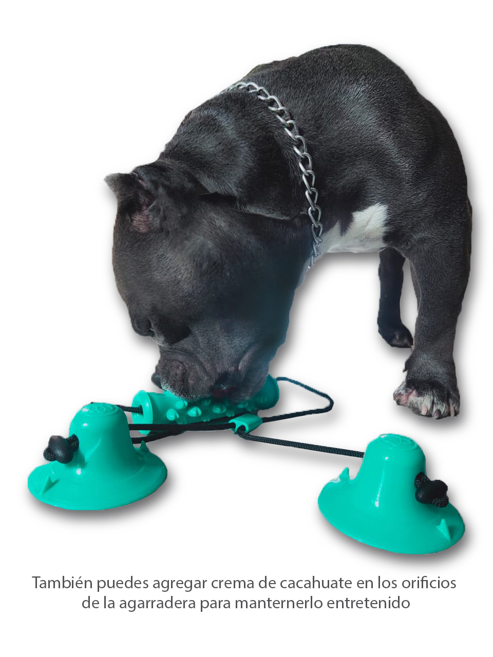 Juguete para Mascota con Mordedera y Doble Ventosa