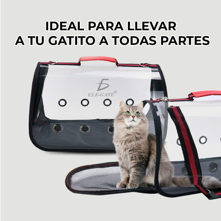 Mochila Grande Transportadora Viaje Para Mascota Perro Gato