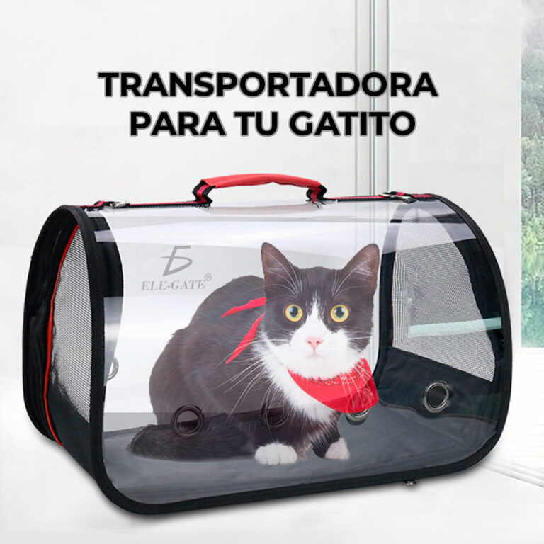 Mochila Grande Transportadora Viaje Para Mascota Perro Gato