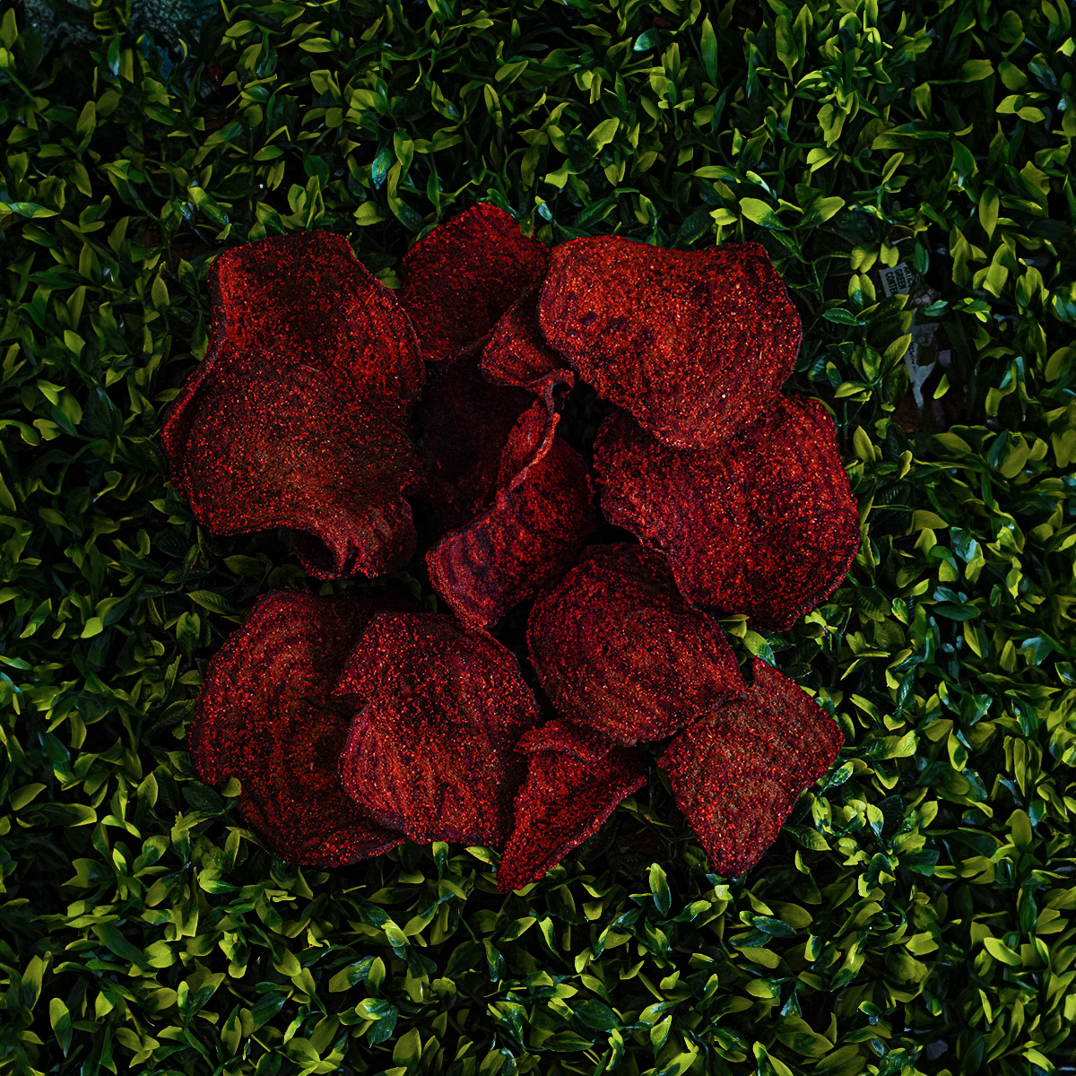 Betabel con chile Deshidratado y horneado bolsa familiar Más Natural	