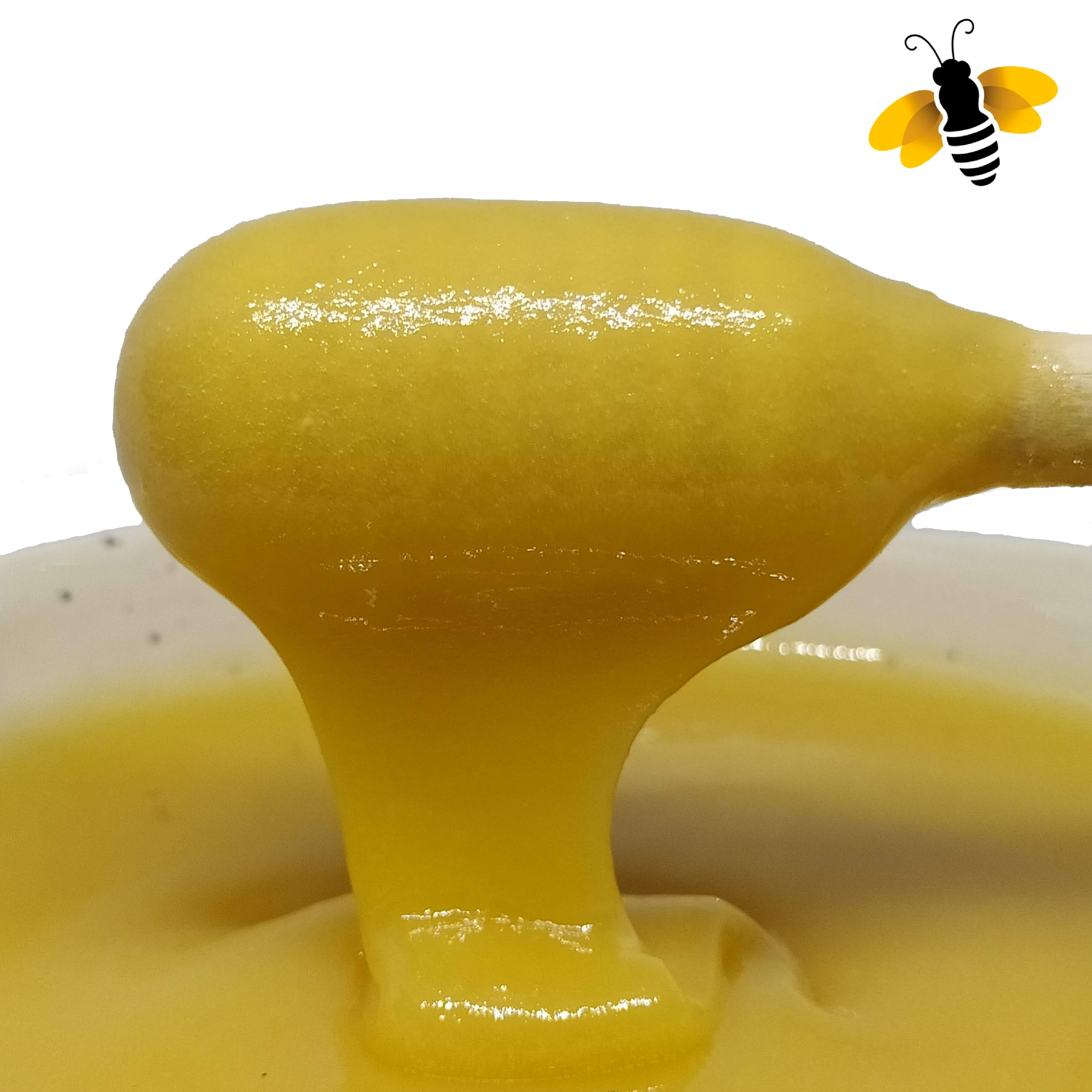 Miel De Abeja Orgánica San Ignacio Untable Caja 6pz 400 g