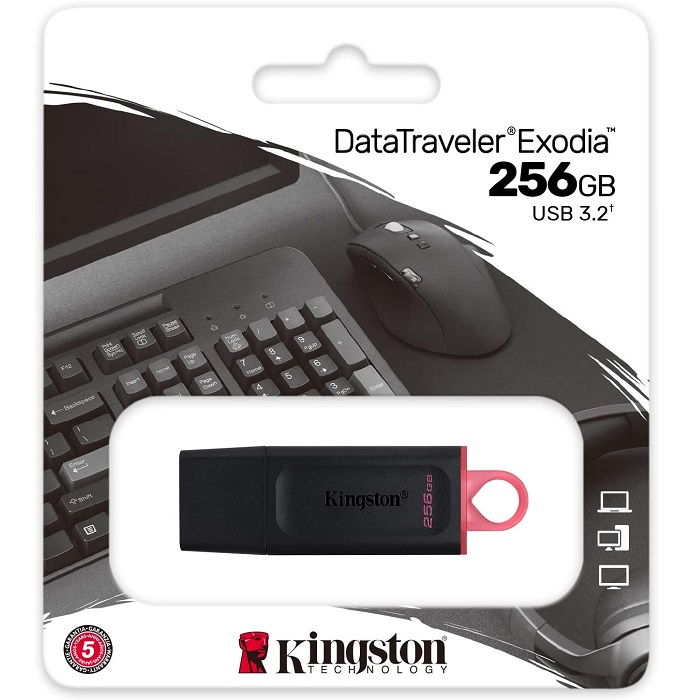 Memoria Flash USB Kingston DataTraveler Exodia 256GB DTX/256GB.