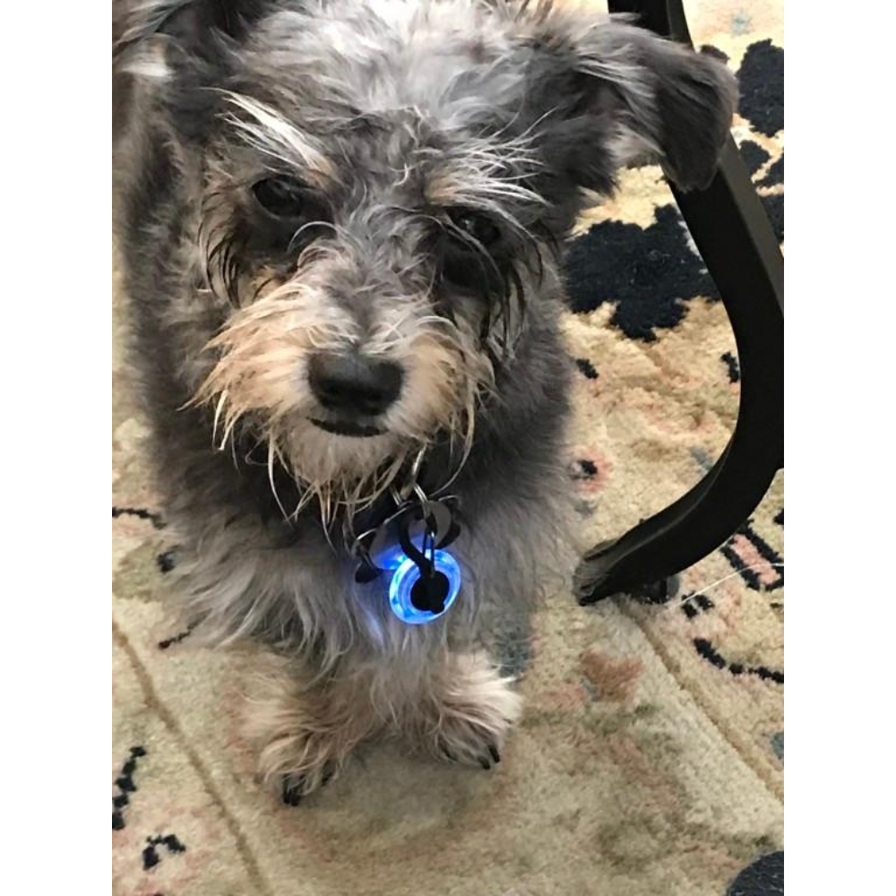 Luz Para Collar Azul Nite Ize Mod. PCL02-03-69JE