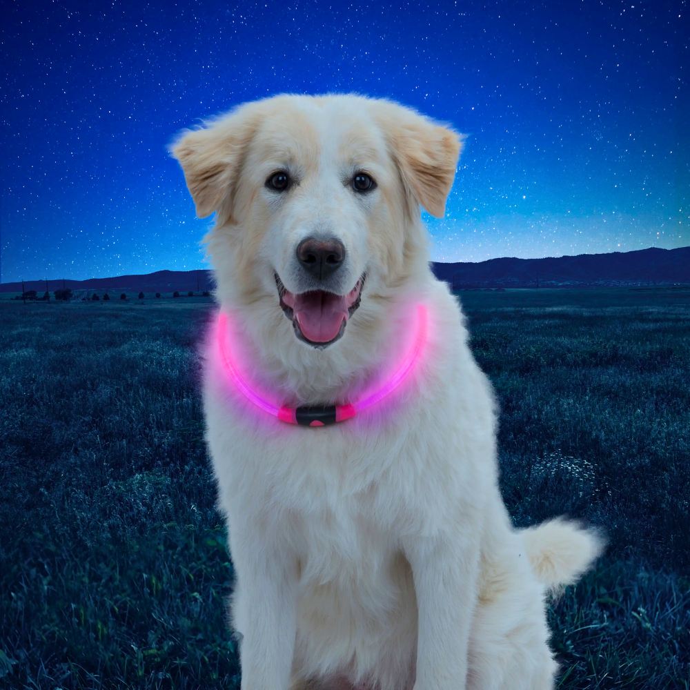 Nite Ize-Collar Para Mascotas Con Luz Led Rosa Mod. NHO-12-R3