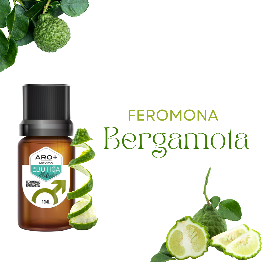 Feromonas Concentradas Masculinas Aroma Bergamota Para Perfume 