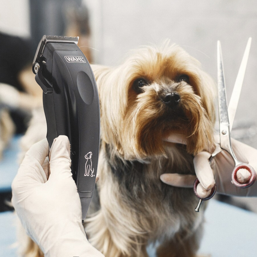 Rasuradora Corta Pelo Wahl Original Negra Casera Para Perros Mascotas