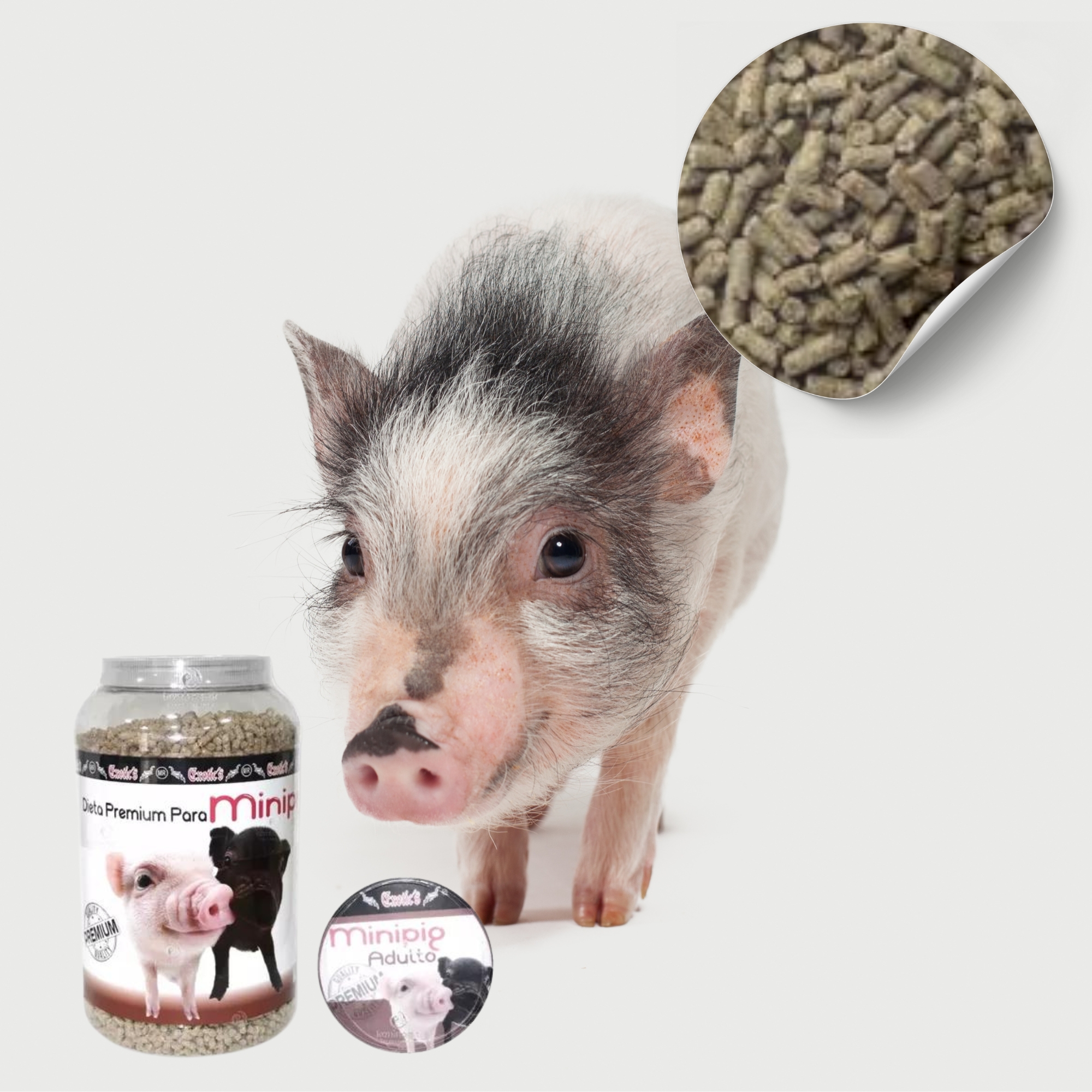 Alimento mini pig adulto exotic's 2.5 kg