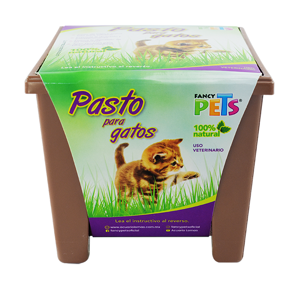 Pasto Para Gatos Fancy Pets Natural