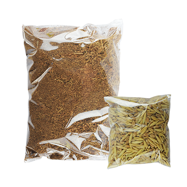 Pasto Para Gatos Fancy Pets Natural