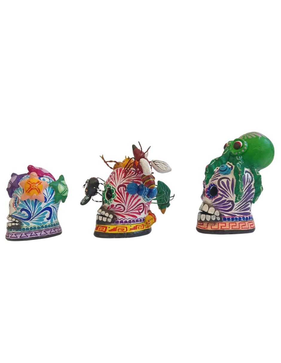 Kit de 3 craneos mini con diferentes temáticas 