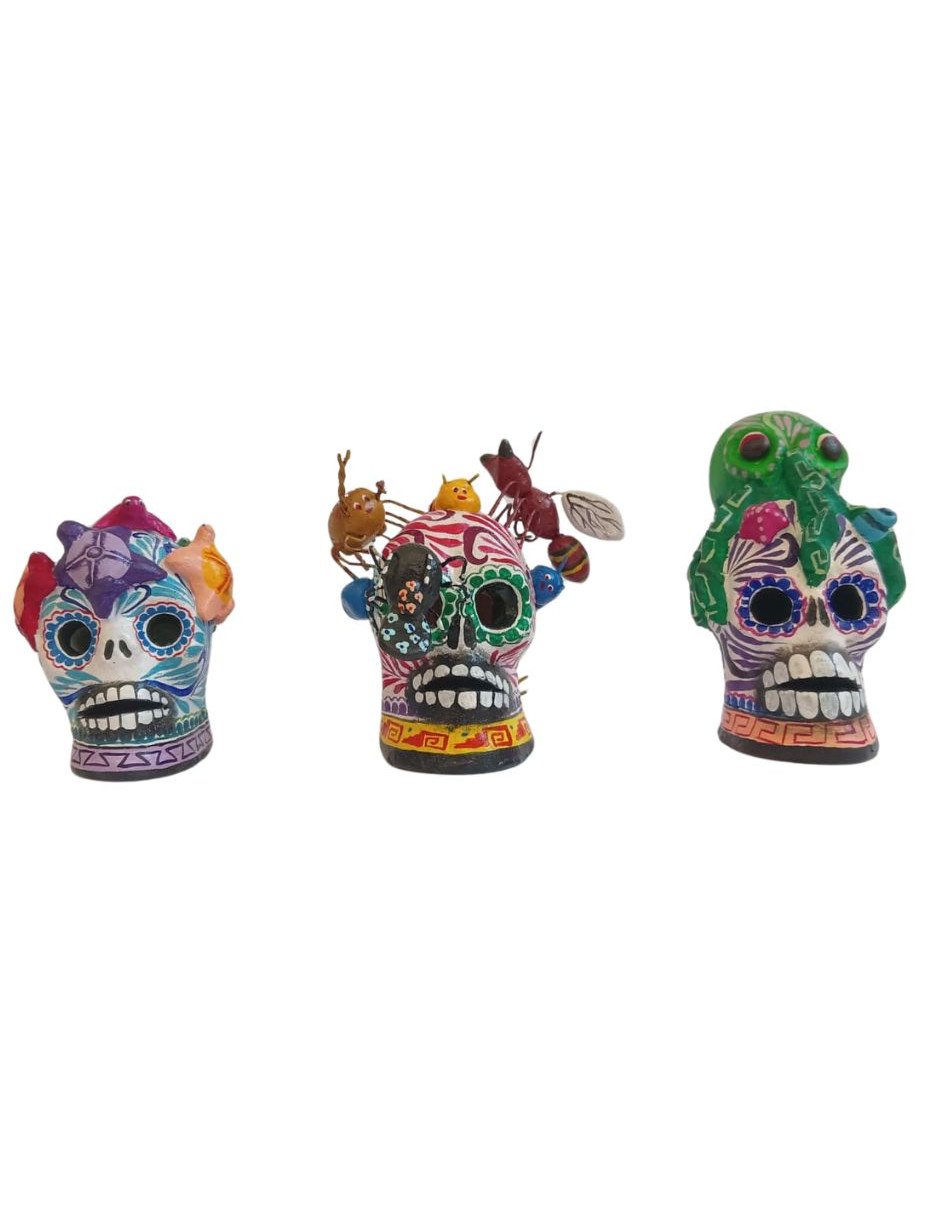 Kit de 3 craneos mini con diferentes temáticas 