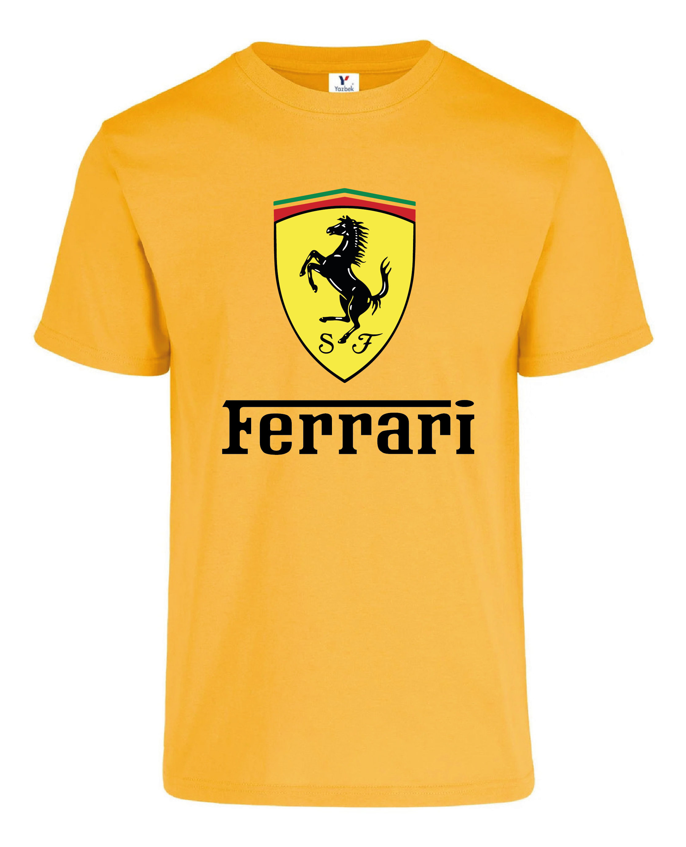 Playera Ferrari Formula 1 Team F1