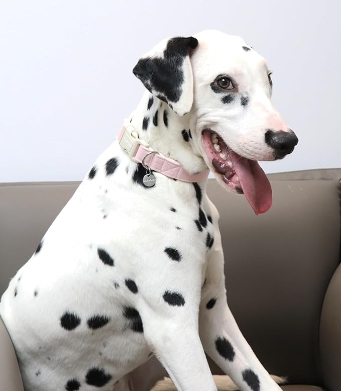 DOGWONG - Collar para perro de cáñamo de algodón, resistente y resistente, de tela natural, suave y duradera, para perros pequeños, medianos y grandes