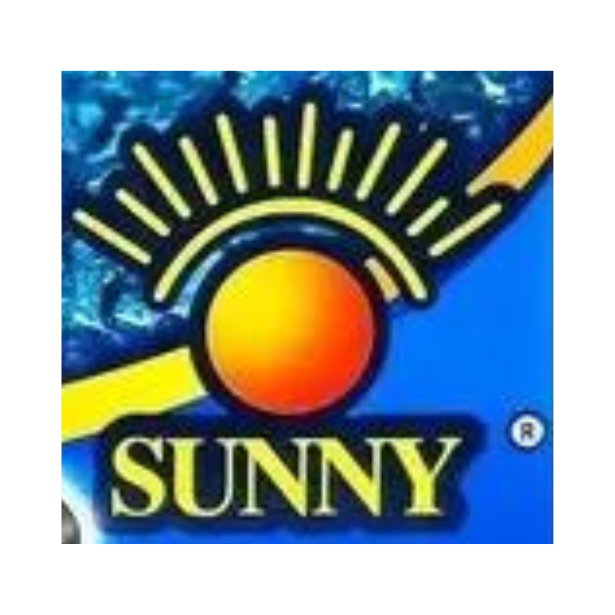 Bomba sumergible SPH - 800 sunny 