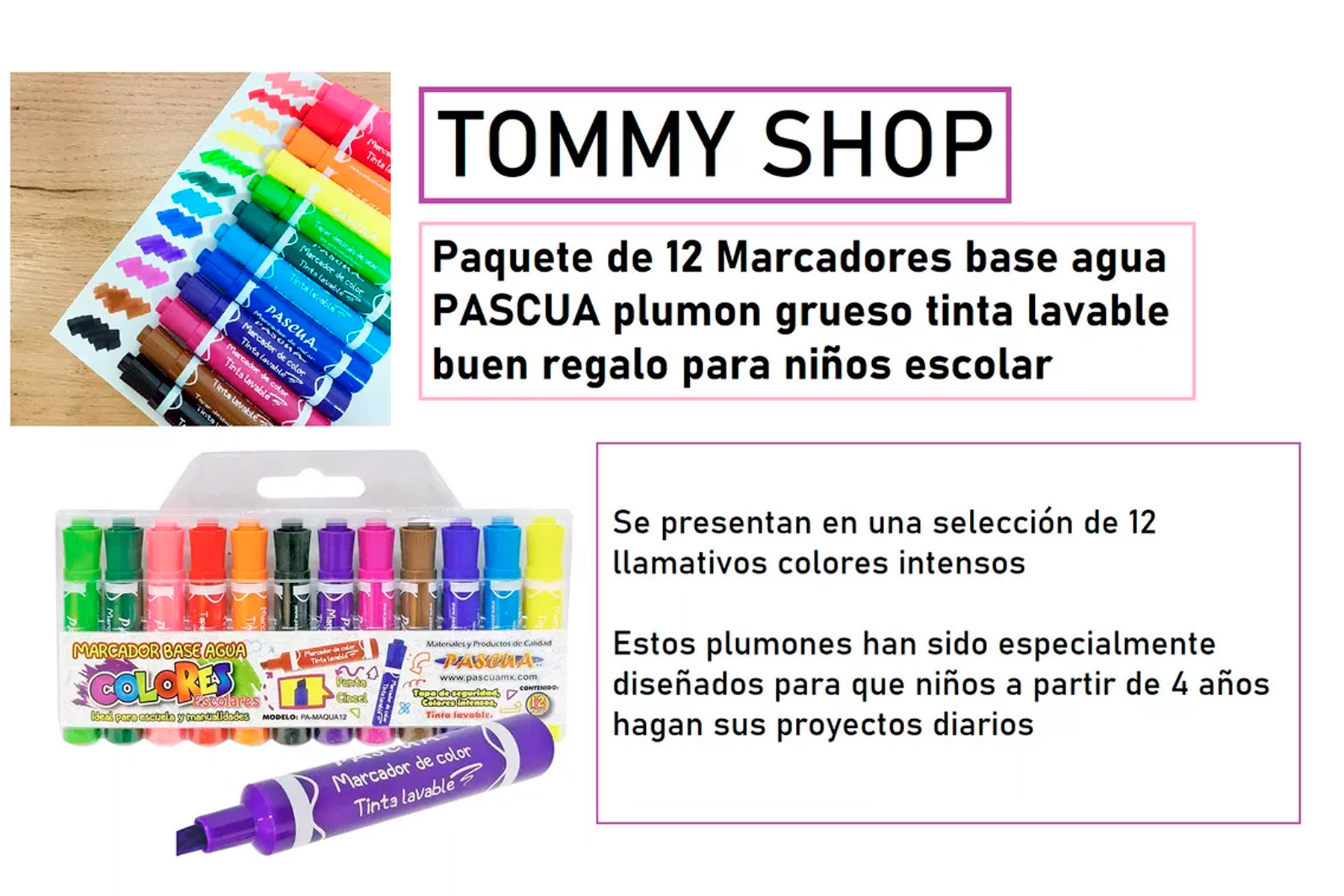 12 Marcadores Base Agua Plumon Grueso Surtidos Economicos