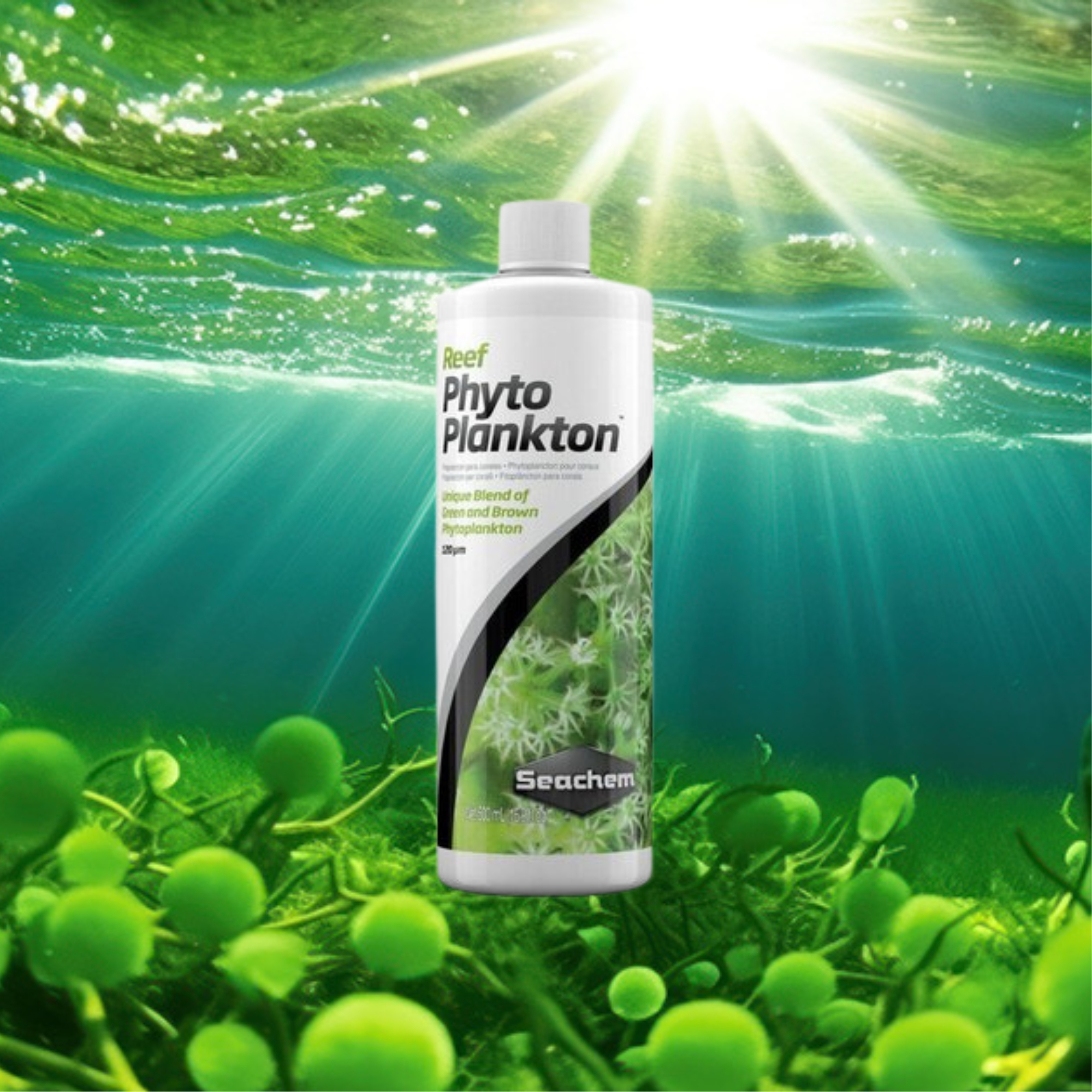 Acondicionador reef phytoplankton seachem 300 ml