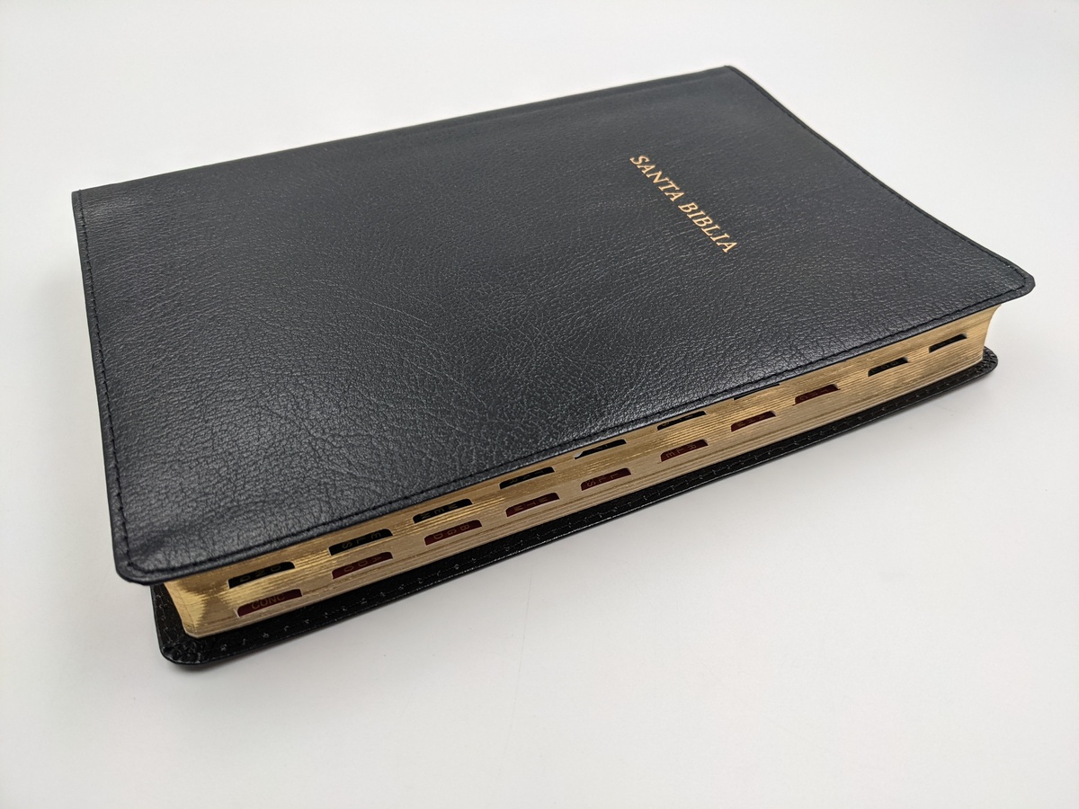 Biblia De Estudio Scofield Rvr 1960, Piel Fabricada con Índice
