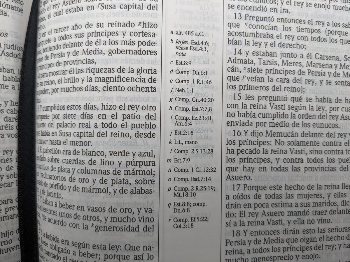 Biblia De Estudio Scofield Rvr 1960, Piel Fabricada con Índice