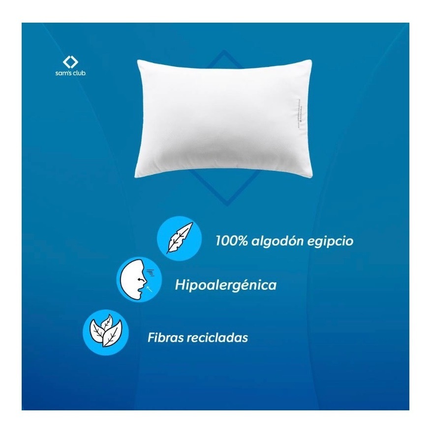 Almohadas sognare en sams club hotsell
