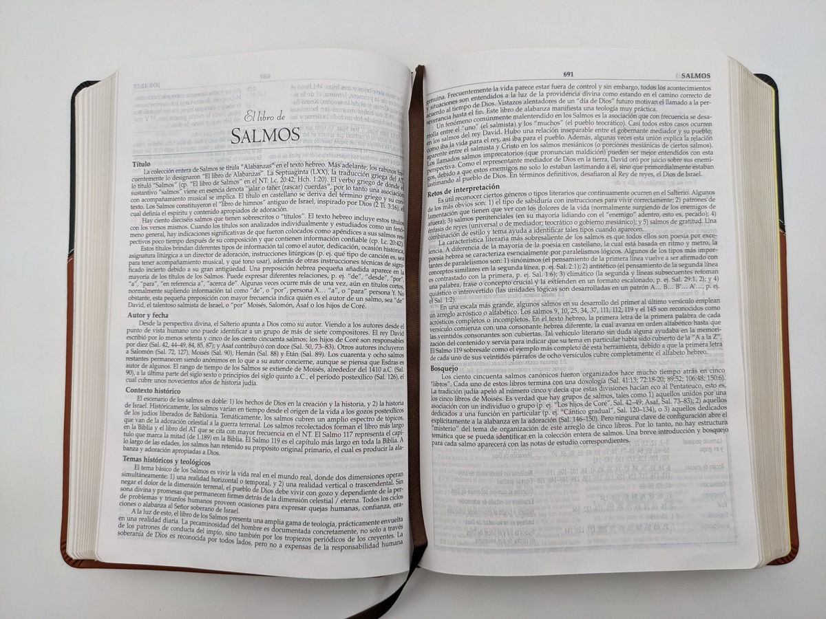 Biblia De Estudio Macarthur Rv1960, Imit. Piel, Duotono, Café