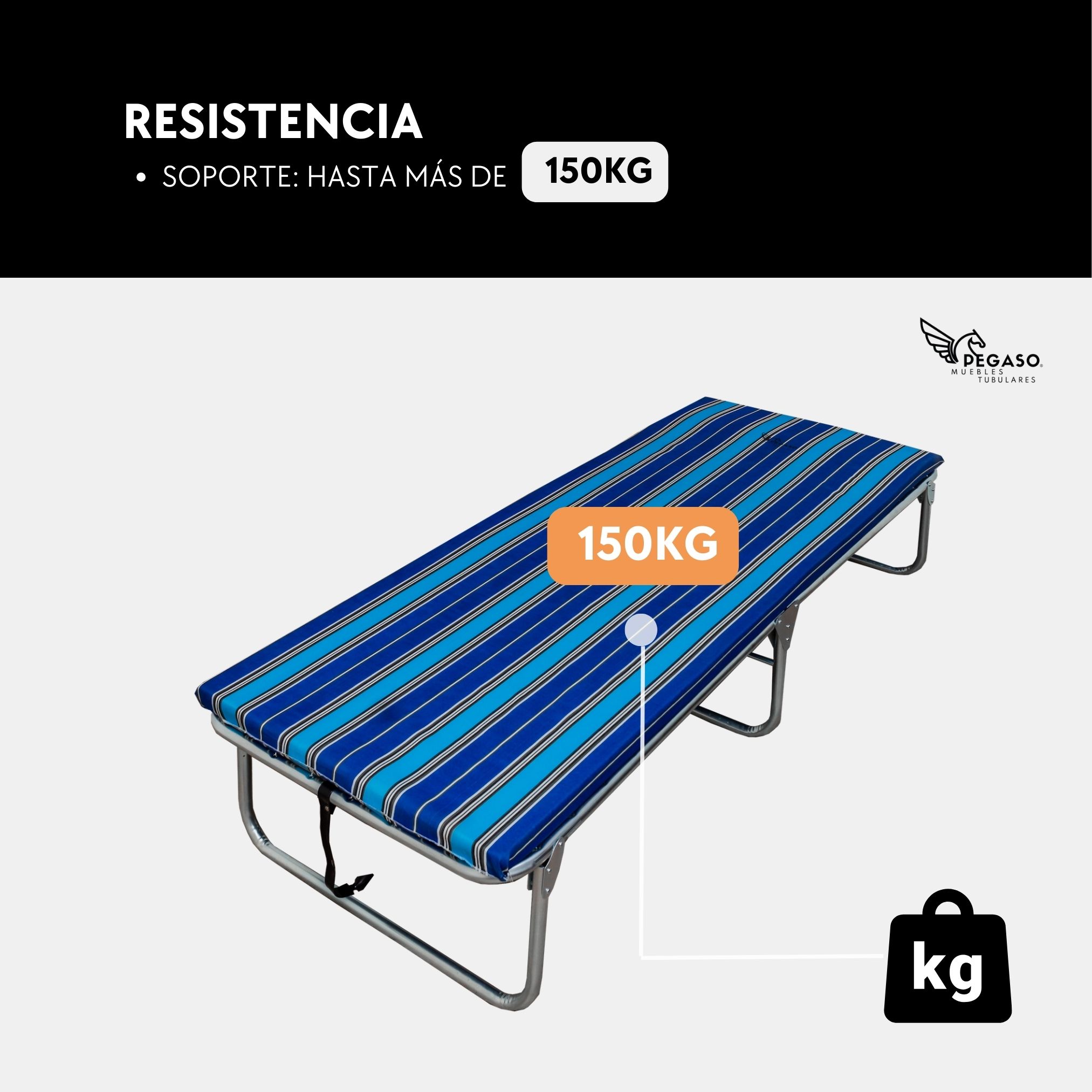 Catre Camastro Plegable de Maya Metálica con Colchón De 4 cm. Pegaso .