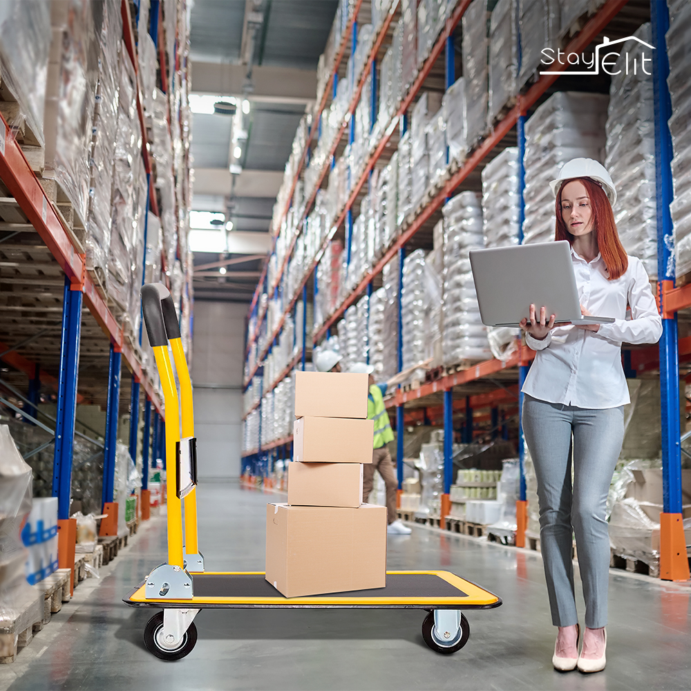 CARRO PLEGABLE DE CARGA (MONTACARGAS)