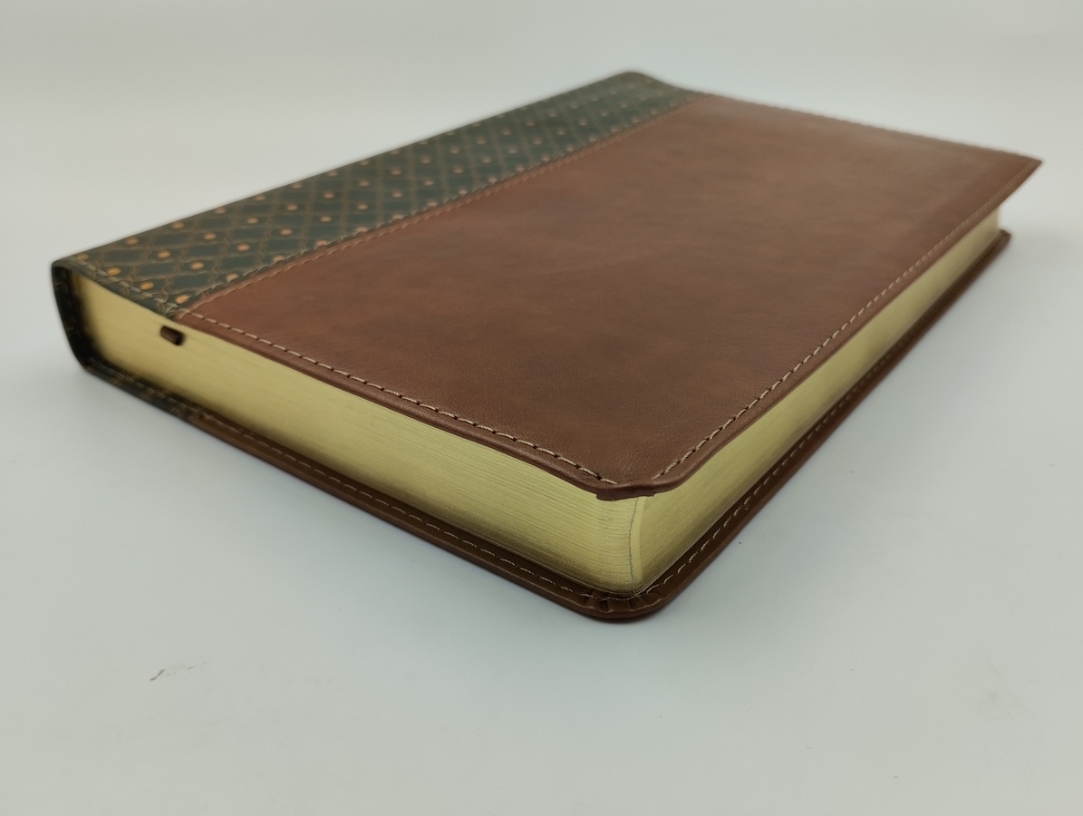 Biblia De Estudio Scofield Rvr 1960, Piel Simil Verde/cafe