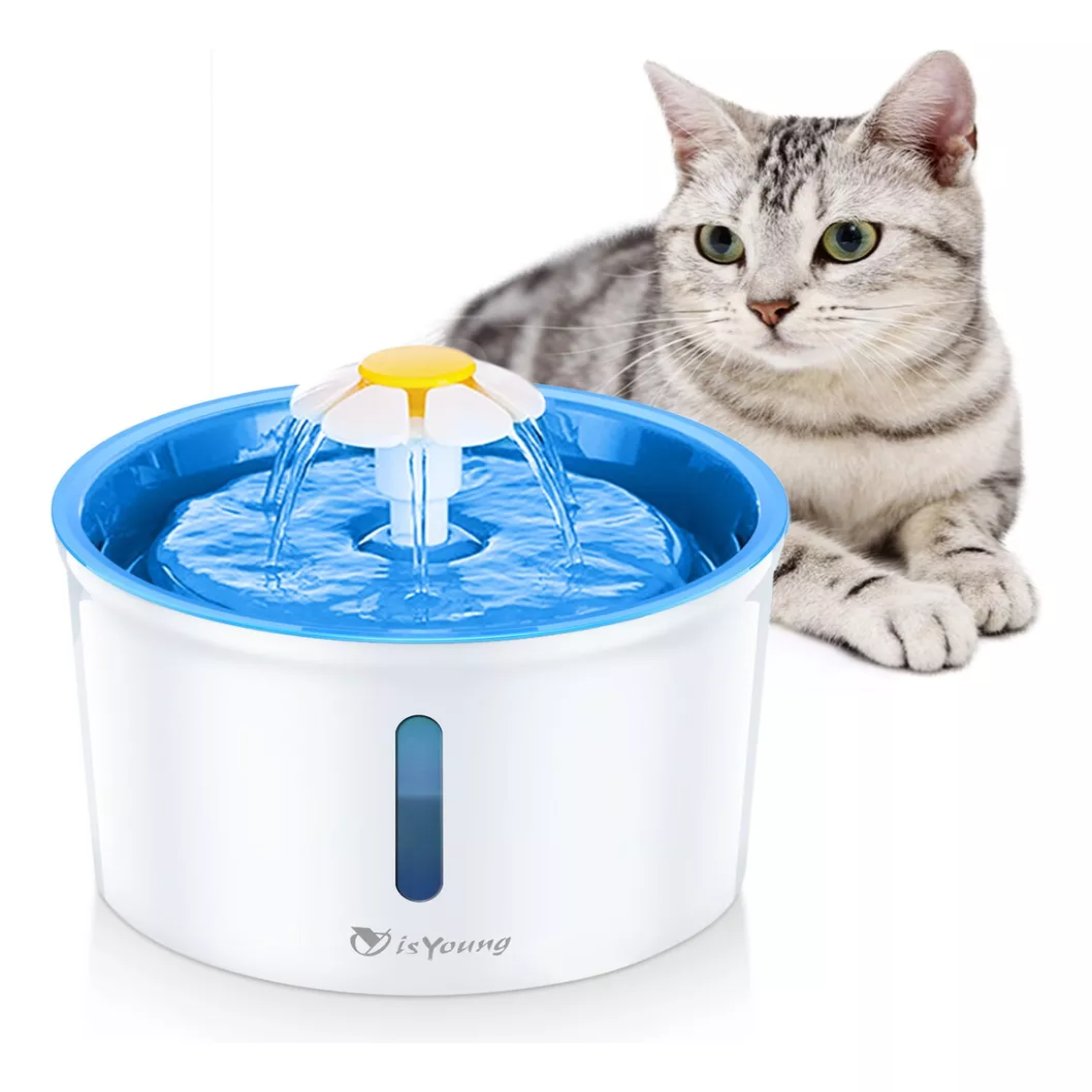 Pets Fuente De Agua Para Gatos Perros Dispensador Mascotas.