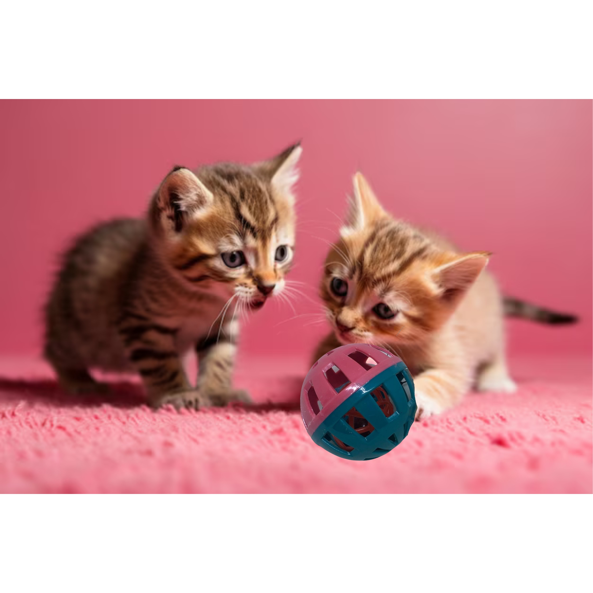 Juguete Para Gatos Cascabel Color Verde My Pet