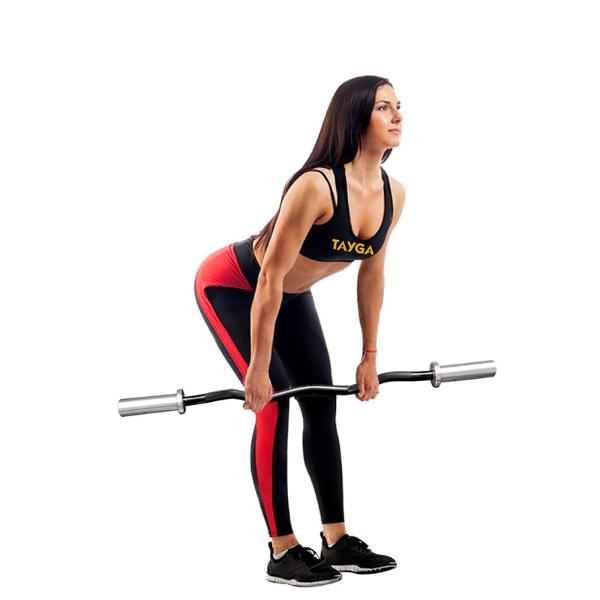  Tayga barra Z olímpica curl bar 1.2 m