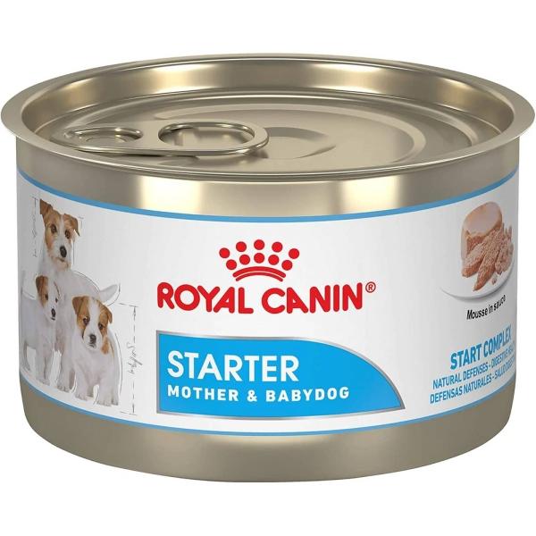 Alimento Húmedo Perro Cachorro Starter 145g Royal Canin